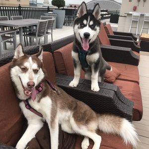 Meet your Posher, Brittney